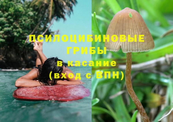 альфа пвп Алексеевка