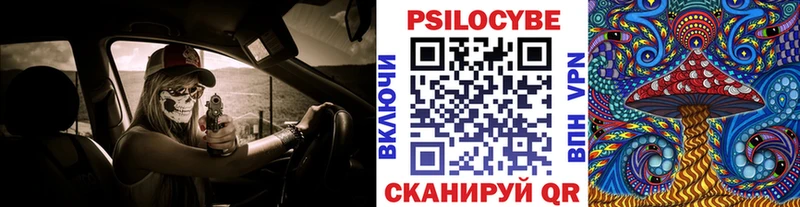 Галлюциногенные грибы прущие грибы  omg как войти  Мамоново 