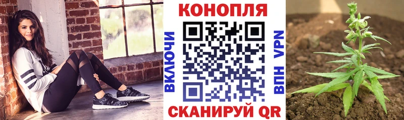 Каннабис индика  Мамоново 